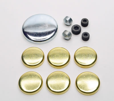 Ford 429,460 vriespluggen set